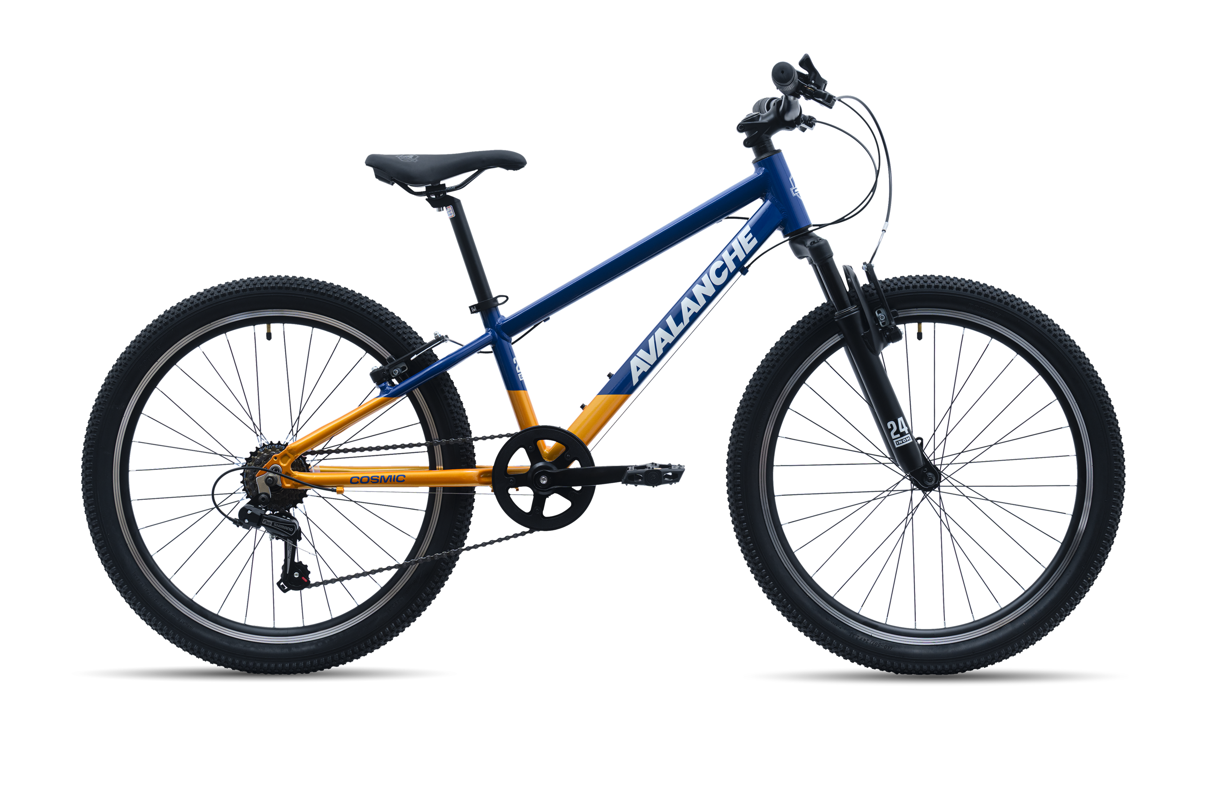 Bicycle Ride Back ゴールドスタンダード　12個　未開封 Avalanche Cosmic 24
