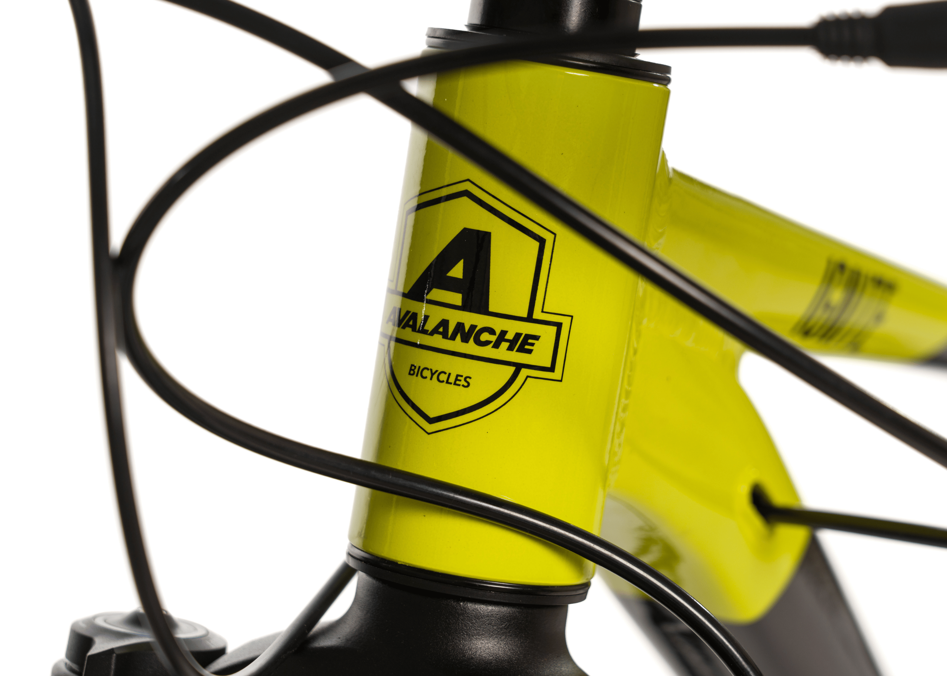 Image of Avalanche Ignite 24