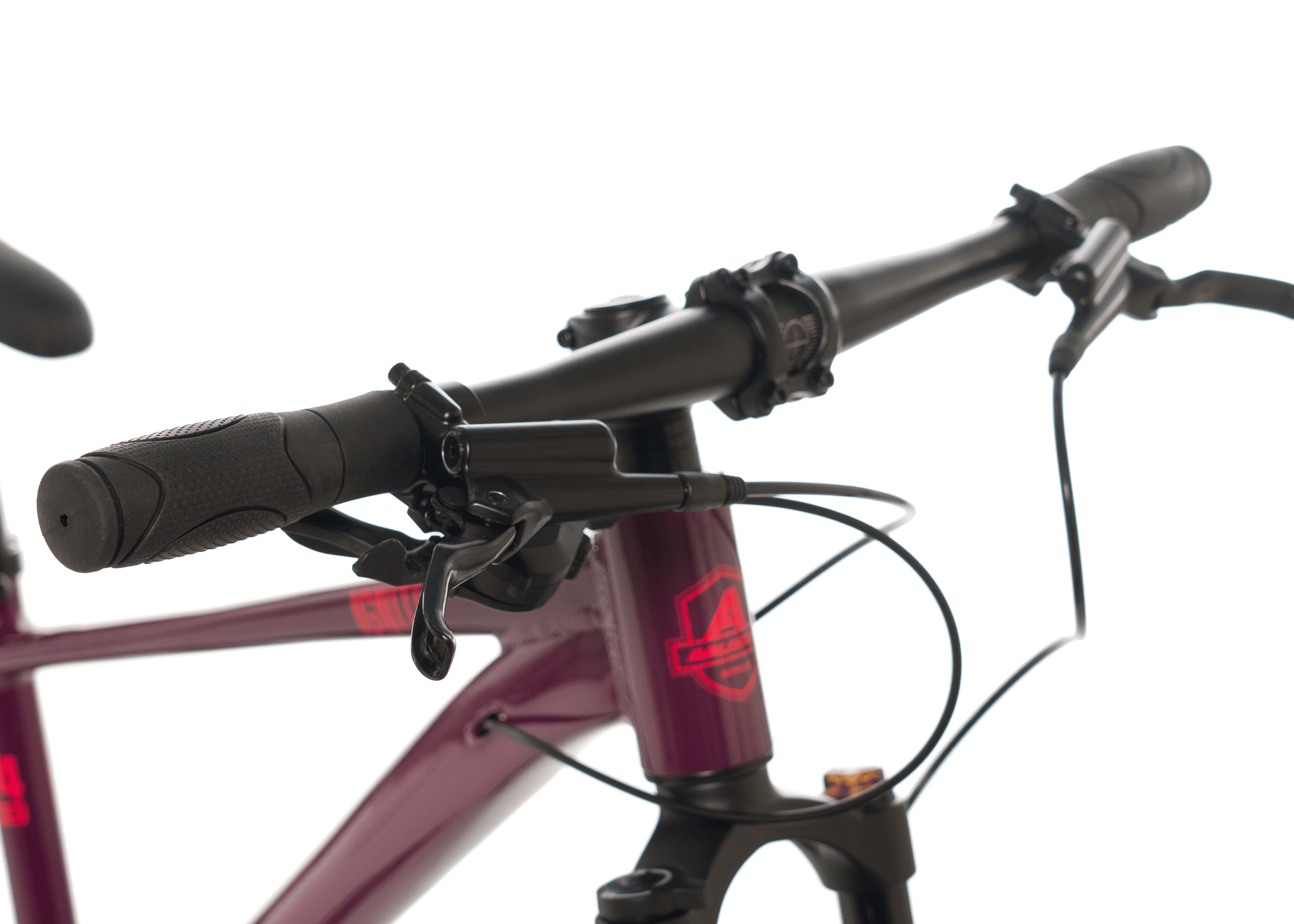 Image of Avalanche Ignite 24