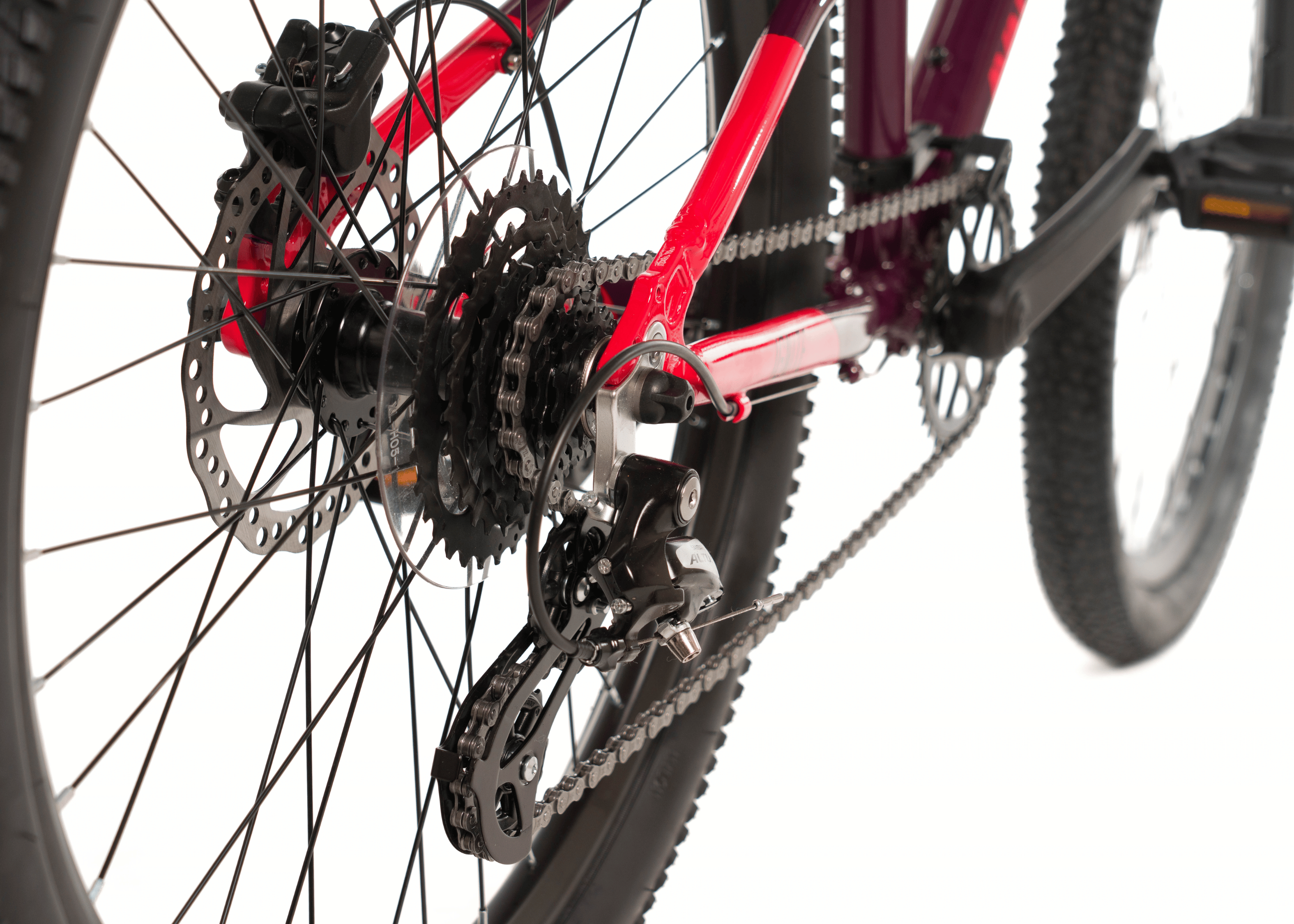Image of Avalanche Ignite 24