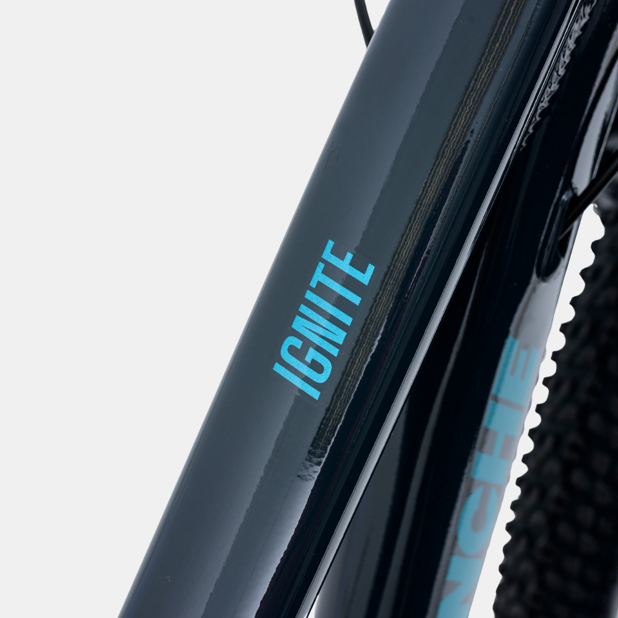 Image of Avalanche Ignite 24