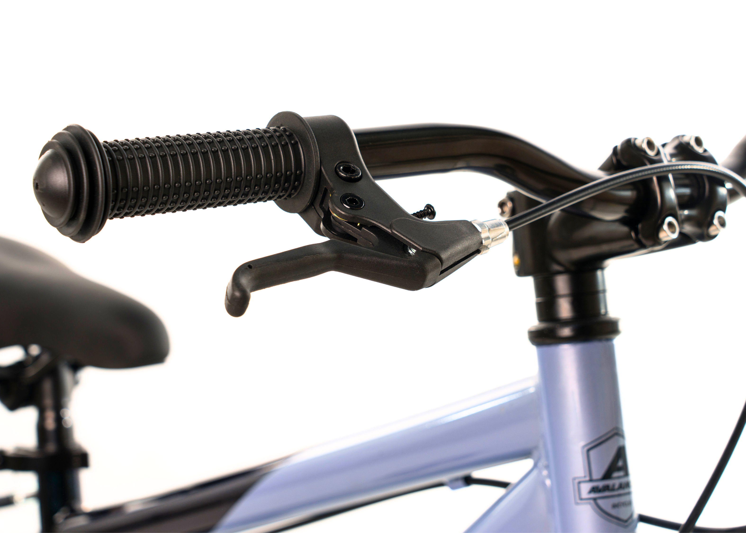 Image of Avalanche Antix 20