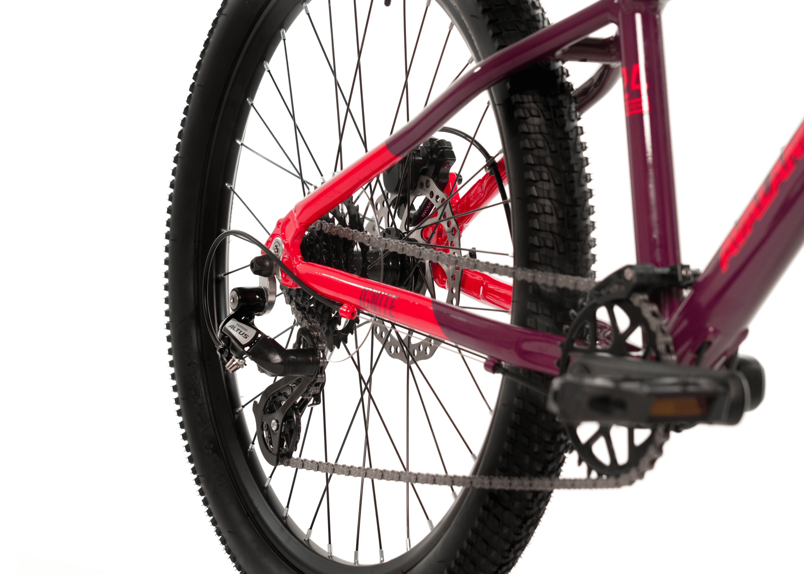 Image of Avalanche Ignite 24