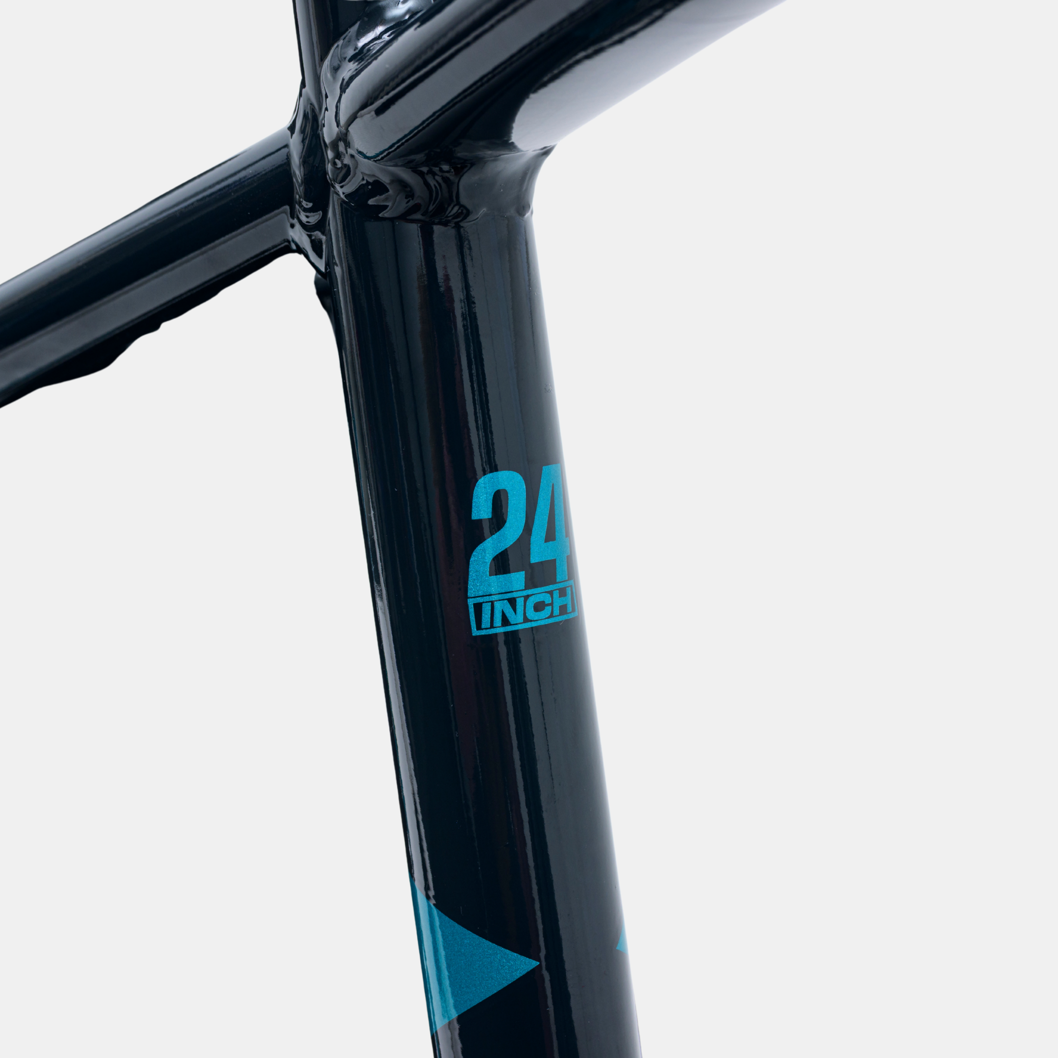 Image of Avalanche Ignite 24