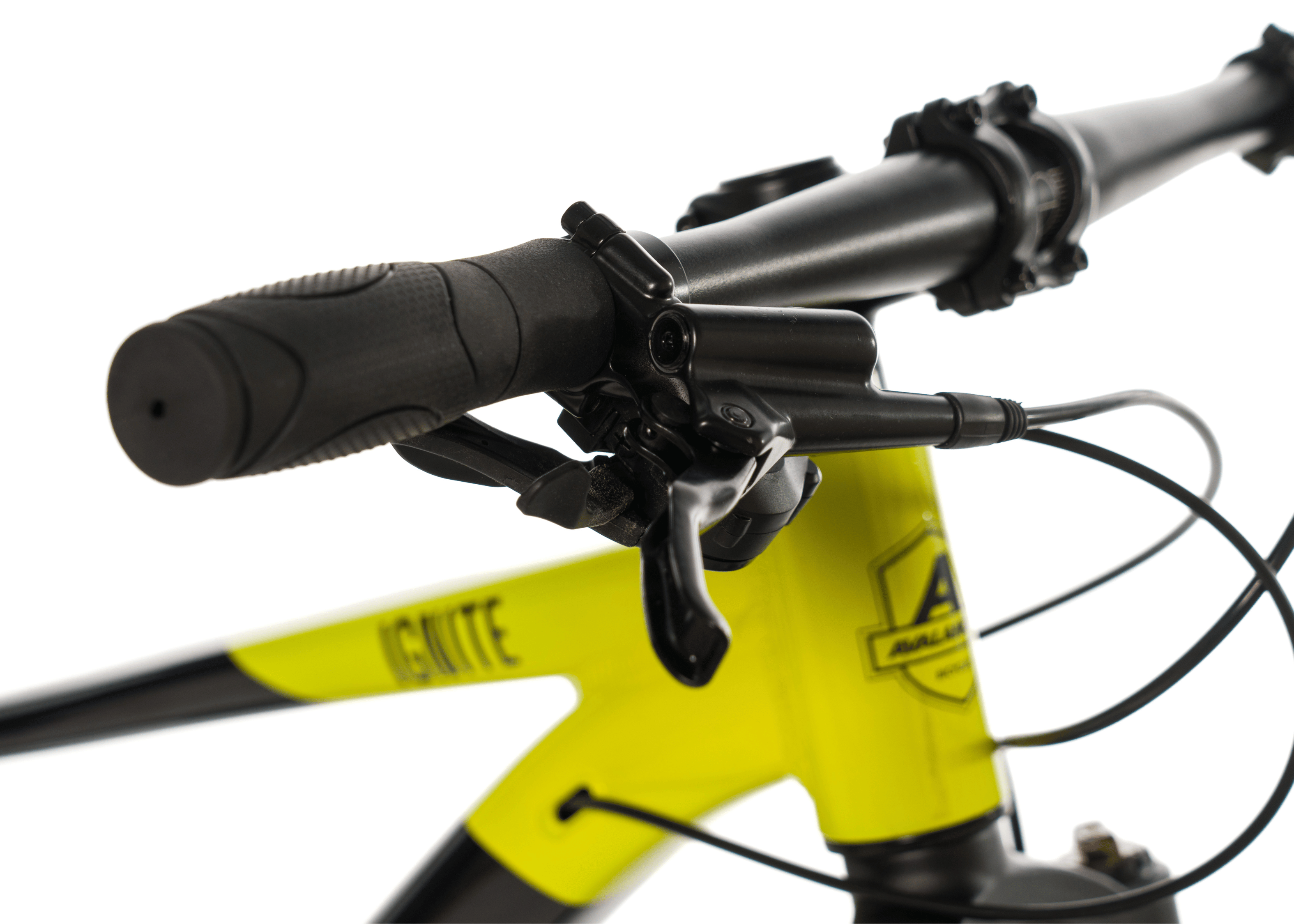 Image of Avalanche Ignite 24
