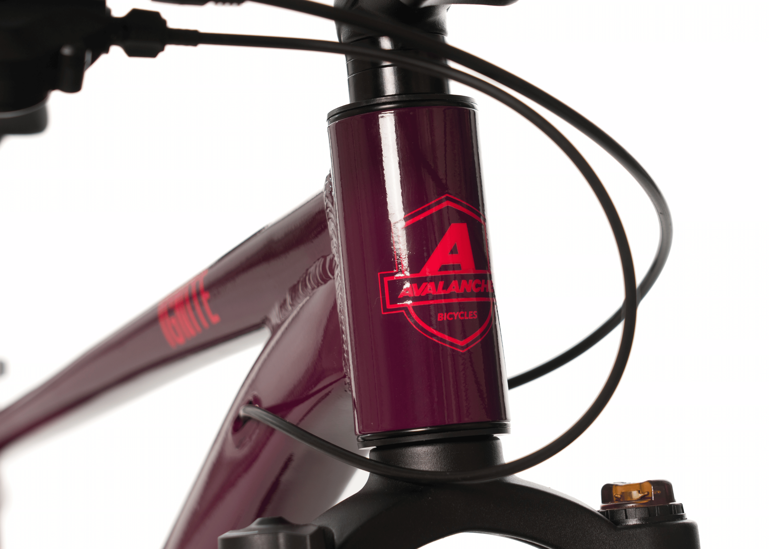 Image of Avalanche Ignite 24