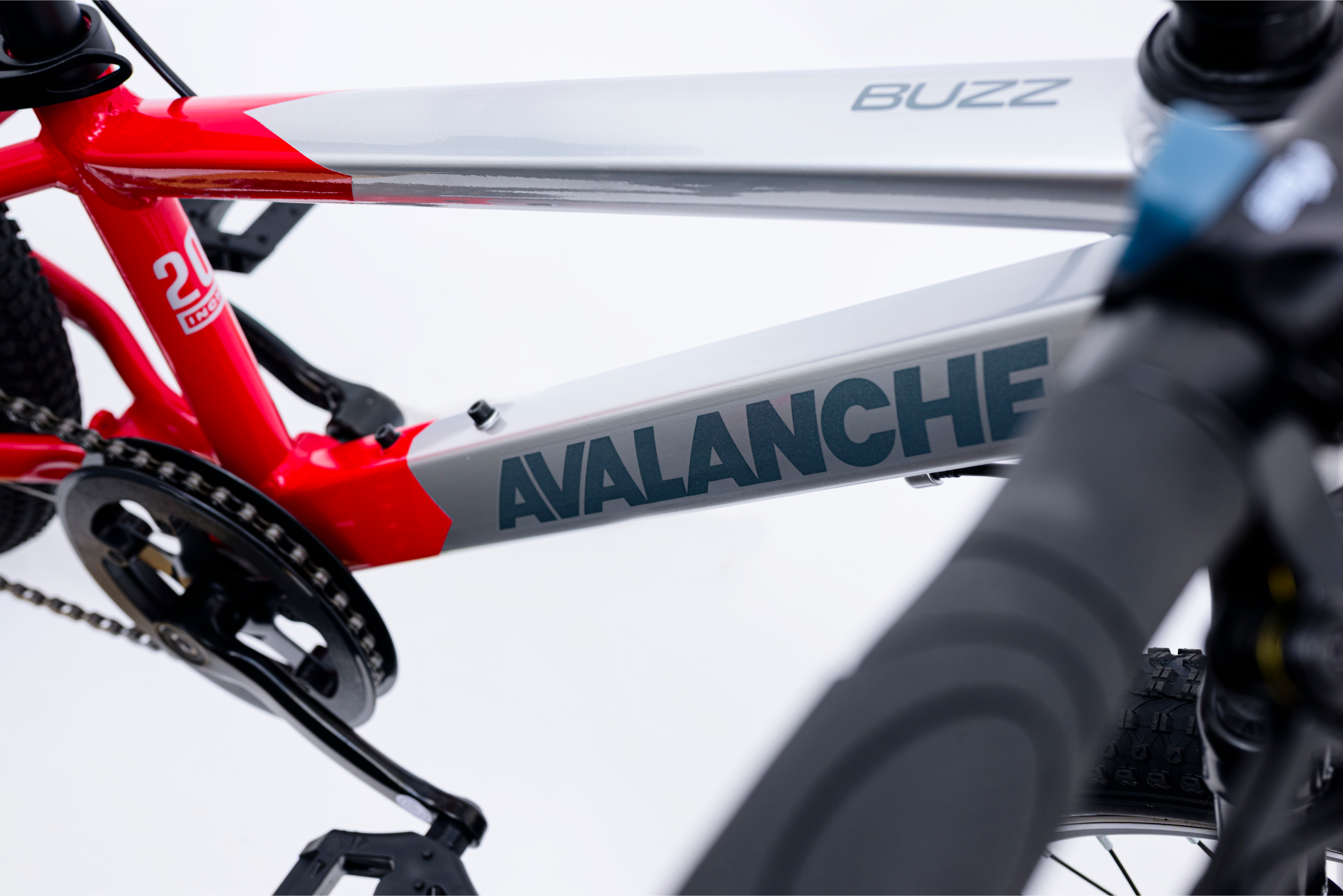 Image of Avalanche Buzz 20