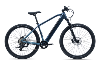 Avalanche Electric Bike MTe