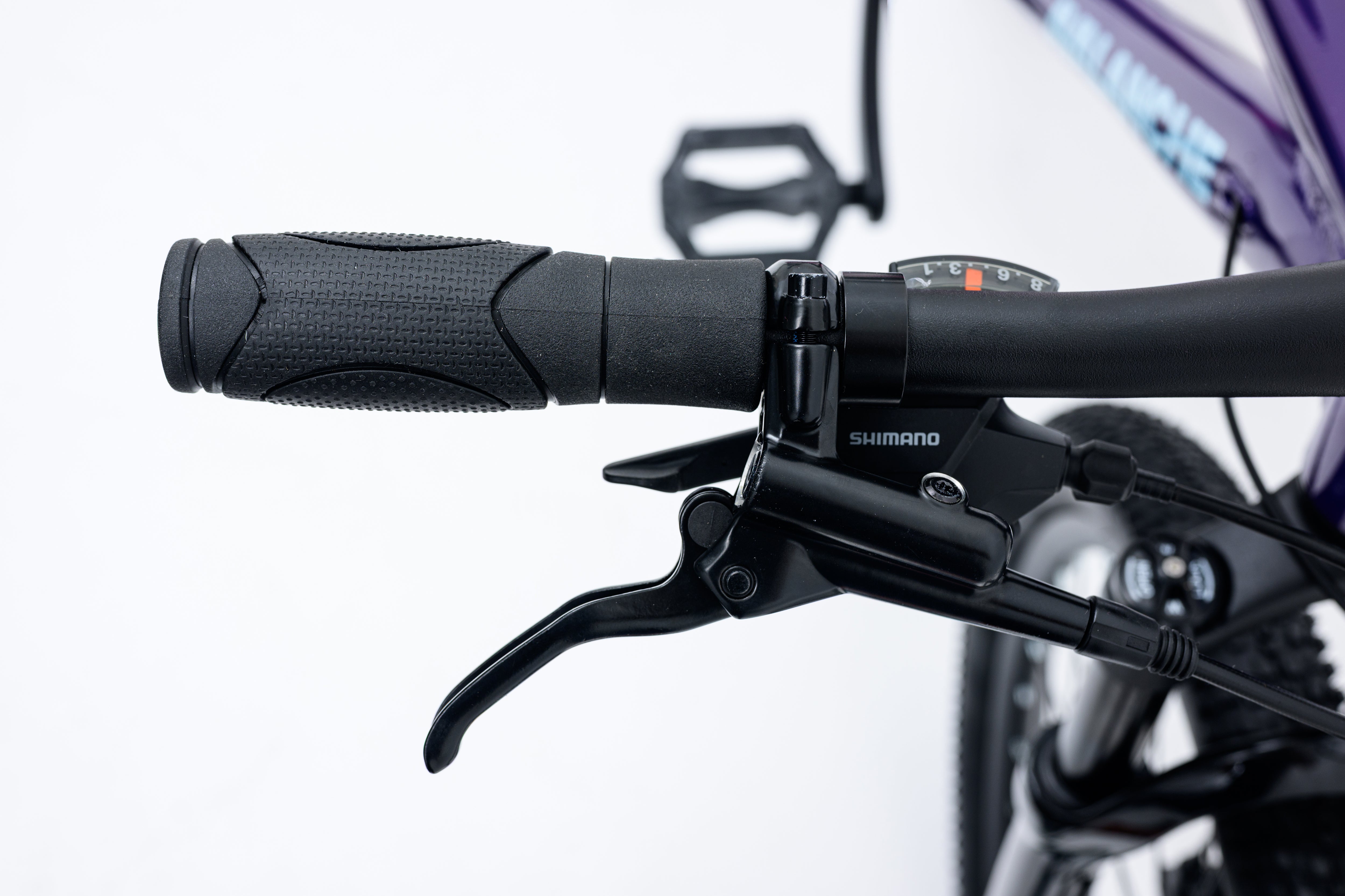 Image of Avalanche Ignite 24