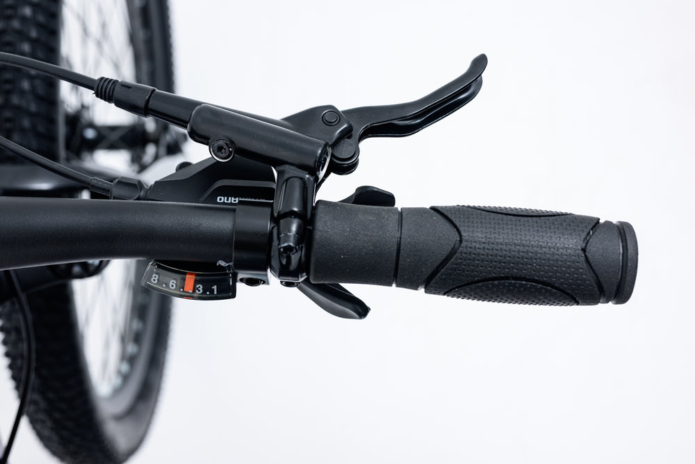 image-avalanche-ignite-24-purple