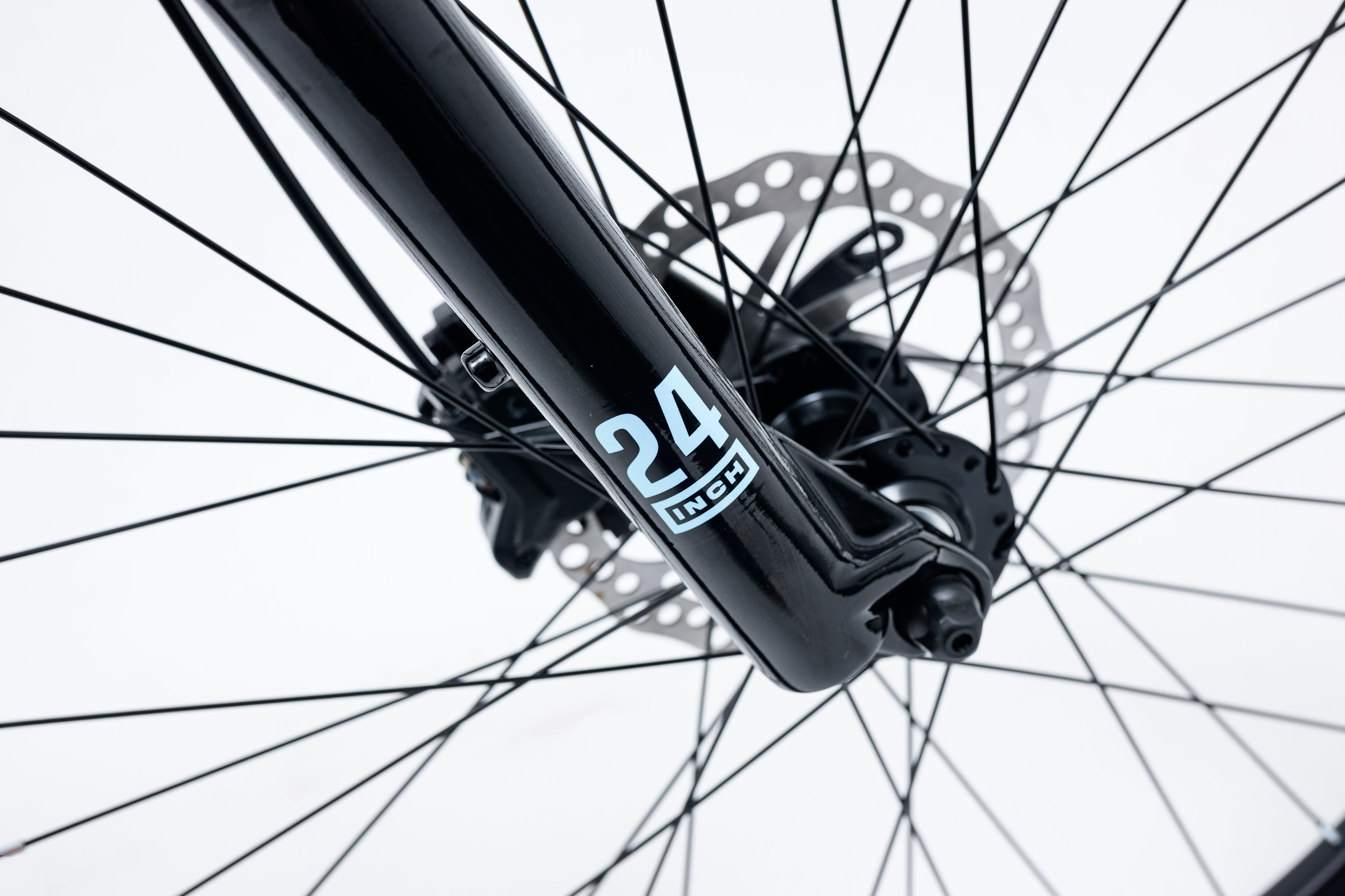 Image of Avalanche Ignite 24