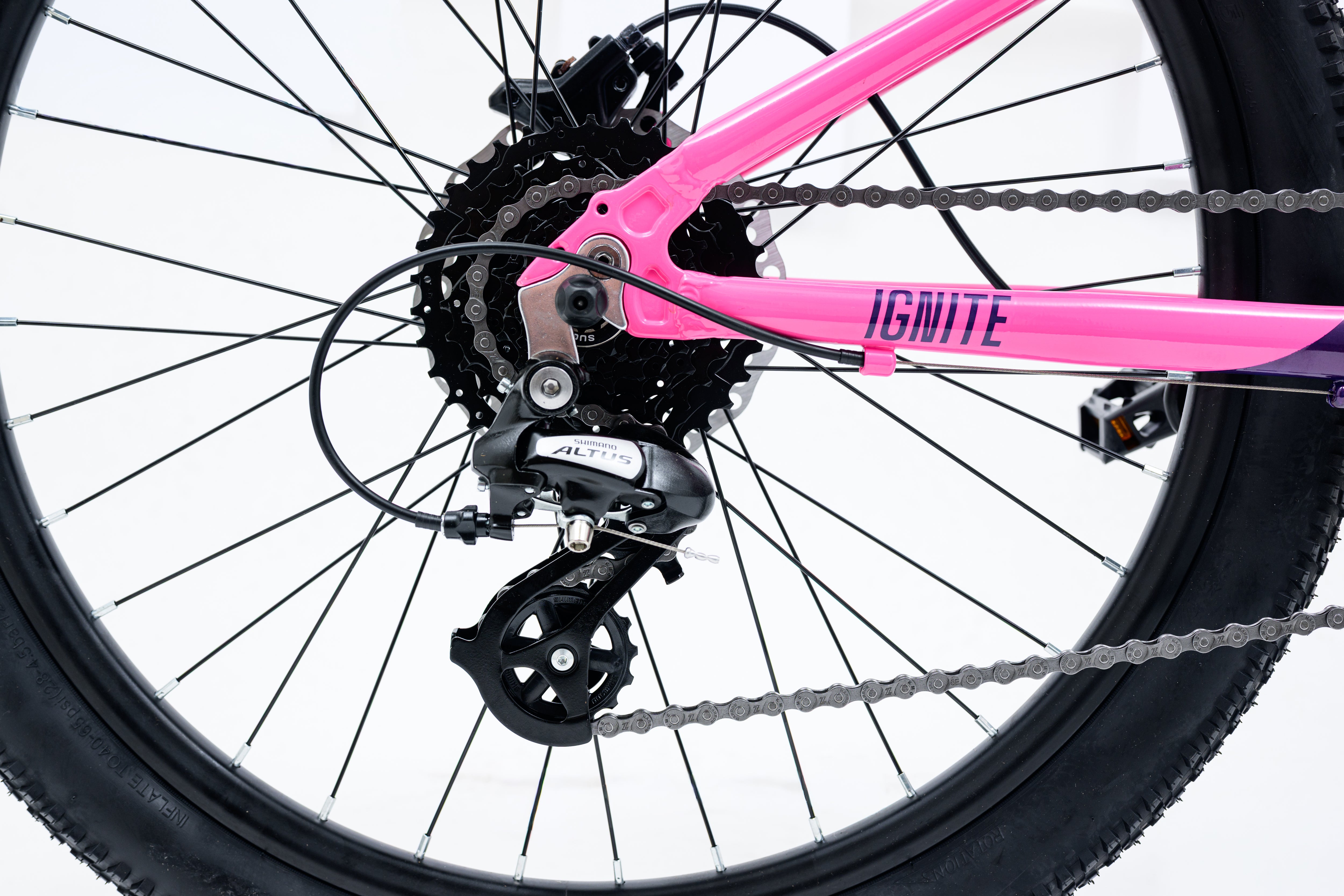 Image of Avalanche Ignite 24