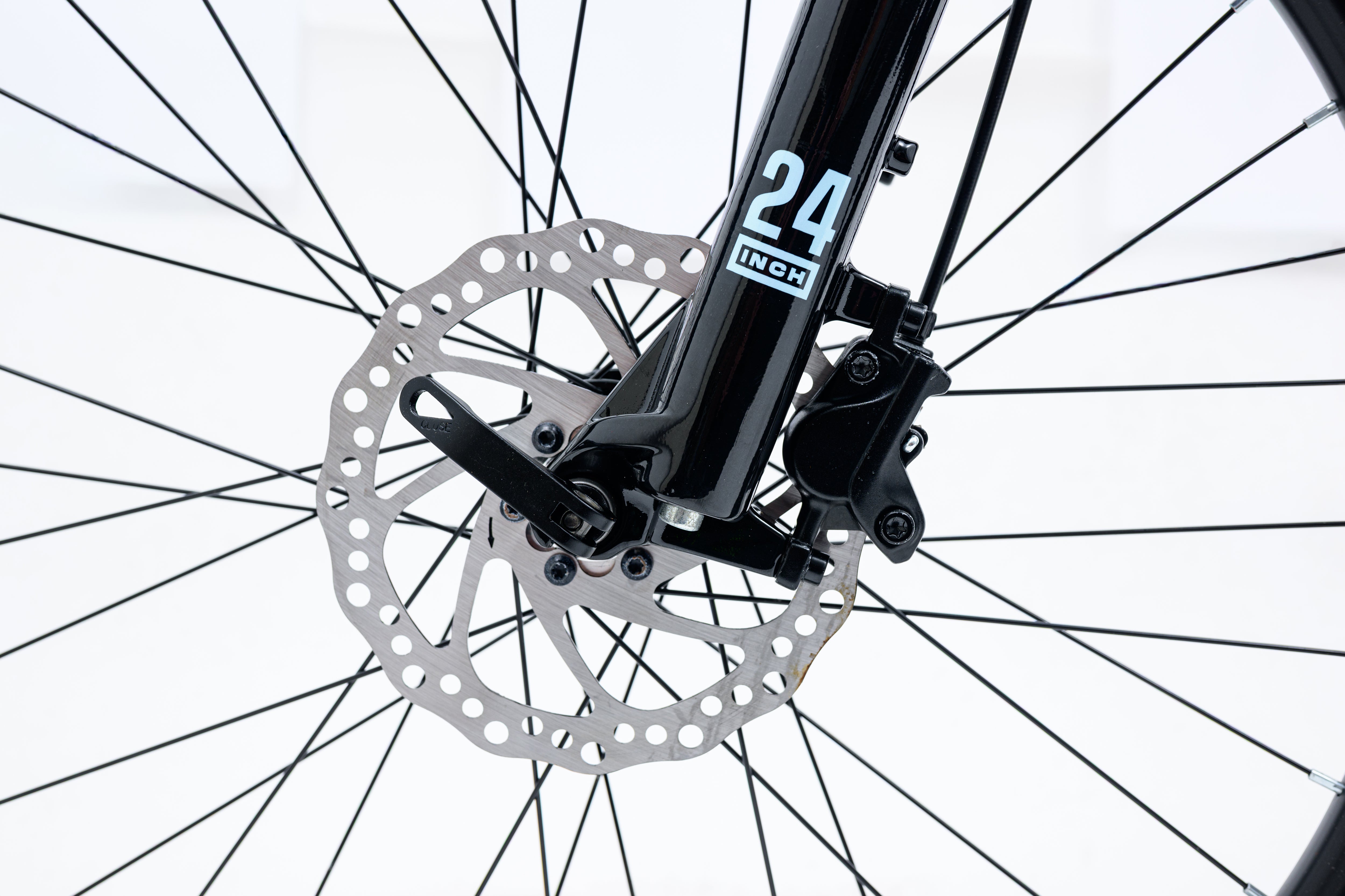 Image of Avalanche Ignite 24