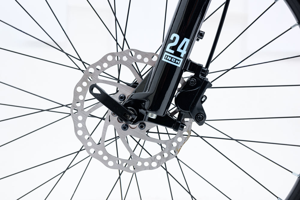 image-avalanche-ignite-24-purple